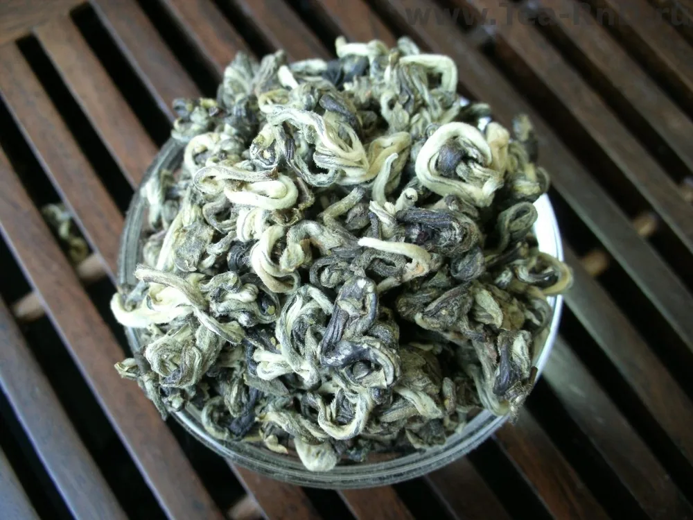 Белая улитка