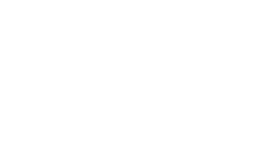 Пуэр РнД